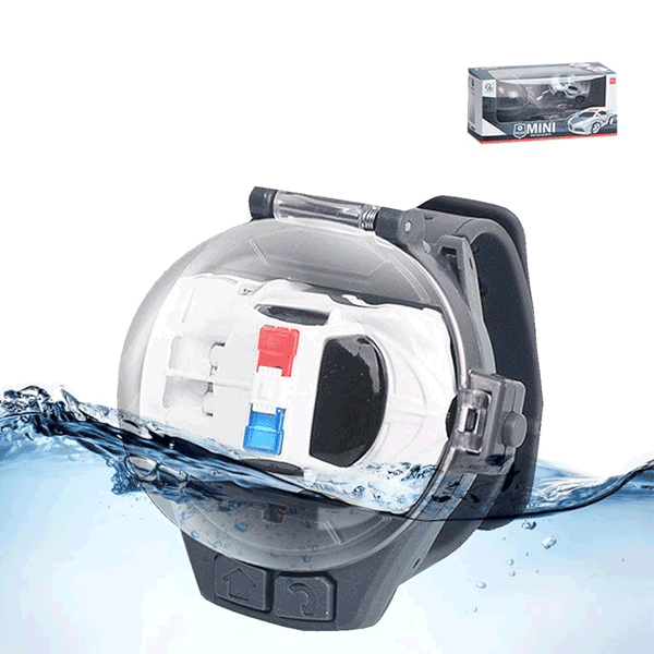 Police 2025 controller watch