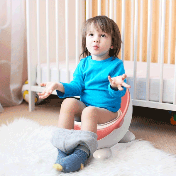 KIDS & BABIES POTTY SEAT AND TRAINER