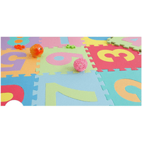 Thumbnail for MULTICOLOR NUMBER PUZZLE MAT - 10 PCS