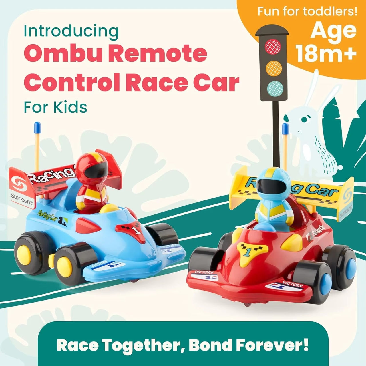 REMOTE CONTROL REMOVABLE DRIVER RACE CAR - PACK OF 1