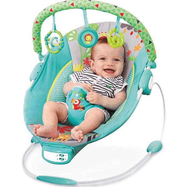 MASTELA COMFORT BABY BOUNCER & VIBRATOR