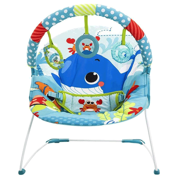 Babies r us bouncy chair shop