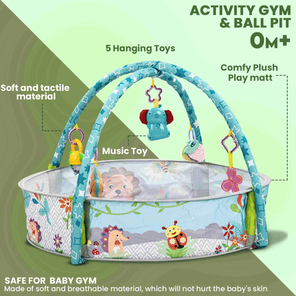 3 IN 1 BABY PLAY GYM & PLAY AREA WITH MUSICAL RATTLE & BALLS