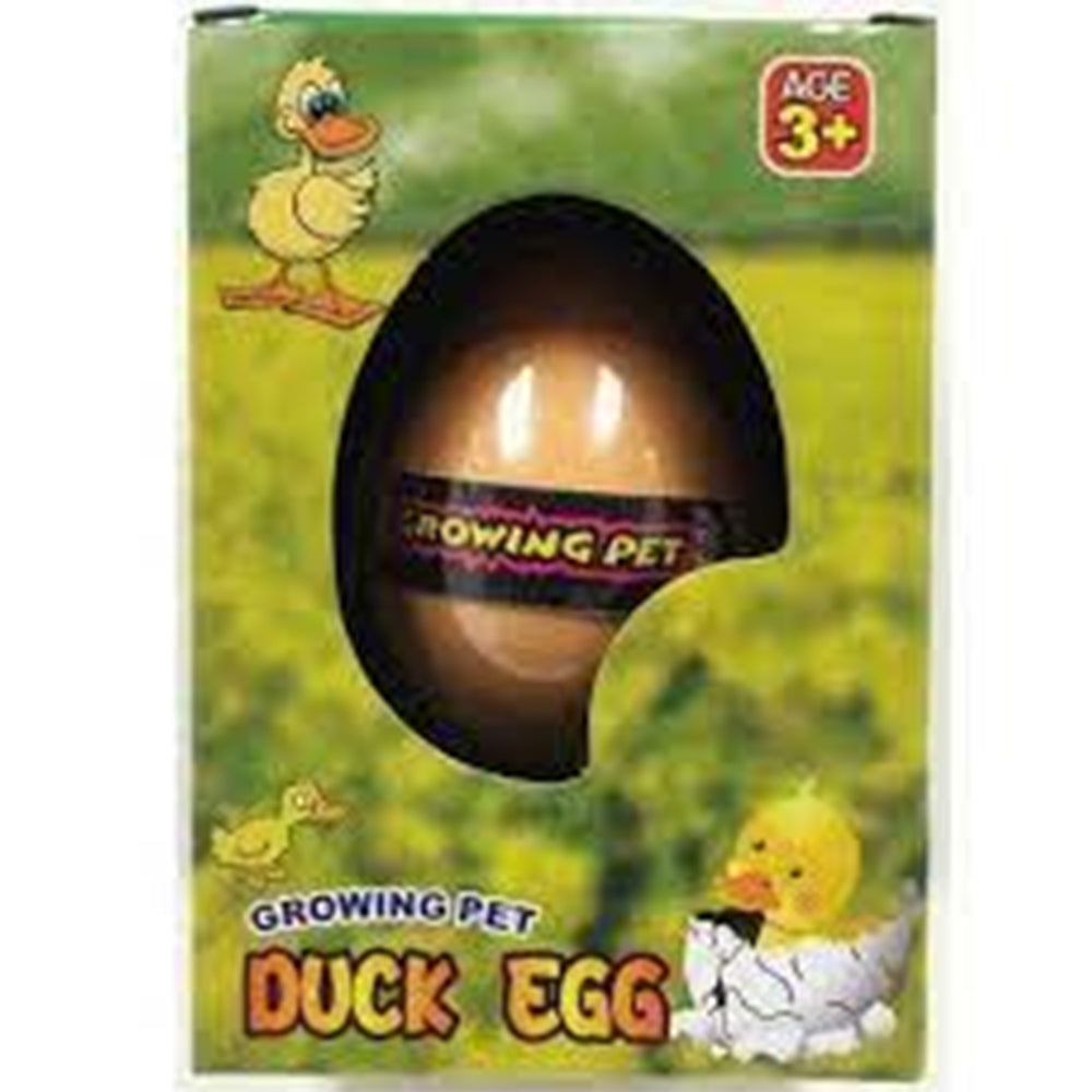 HATCH DUCK EGG FOR KIDS - PACK OF 1