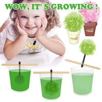 Thumbnail for DIY SCIENTIFIC CREATIVE CRYSTAL FLOWER