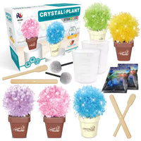 Thumbnail for DIY SCIENTIFIC CREATIVE CRYSTAL FLOWER
