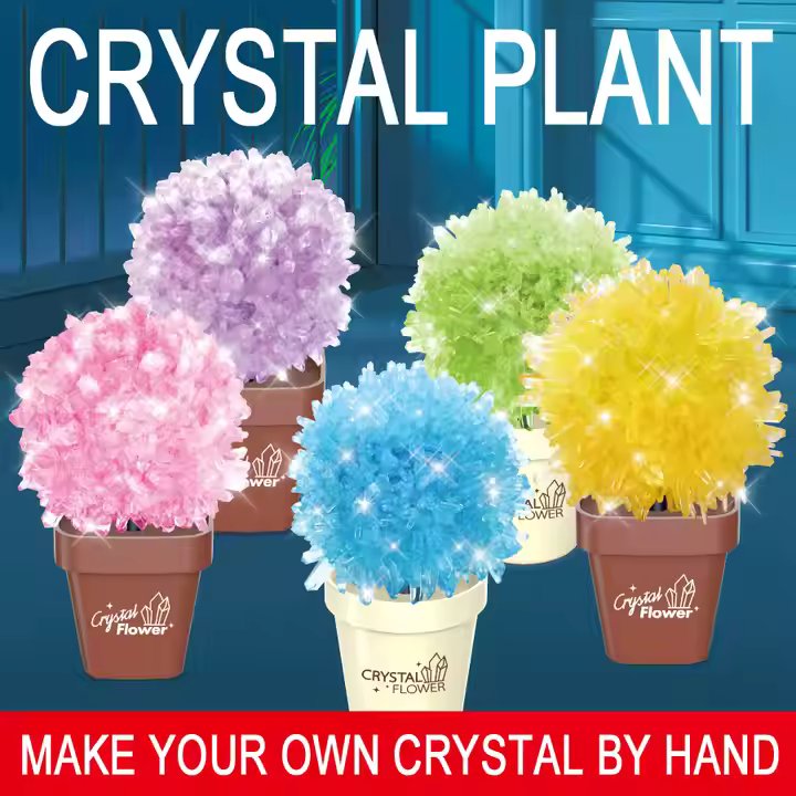 DIY SCIENTIFIC CREATIVE CRYSTAL FLOWER