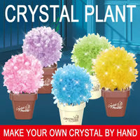 Thumbnail for DIY SCIENTIFIC CREATIVE CRYSTAL FLOWER