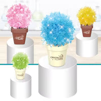 Thumbnail for DIY SCIENTIFIC CREATIVE CRYSTAL FLOWER