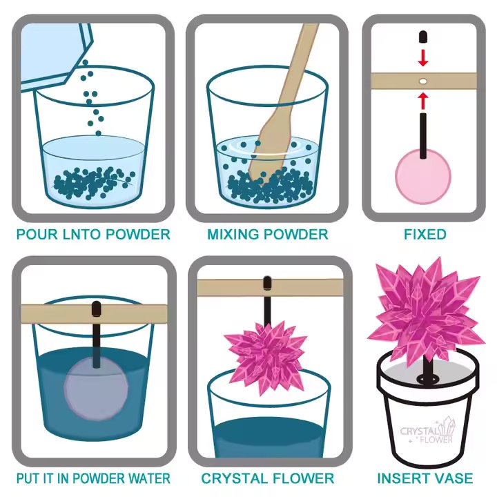 DIY SCIENTIFIC CREATIVE CRYSTAL FLOWER