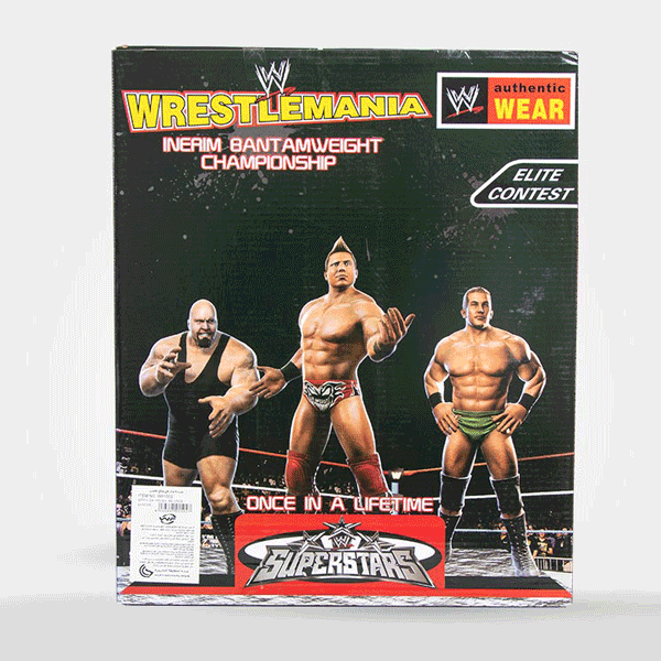 WWE PACK OF 6 FIGURE SET & MODELS